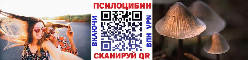 Псилоцибиновые грибы Cubensis  Купить закладки  Любим 